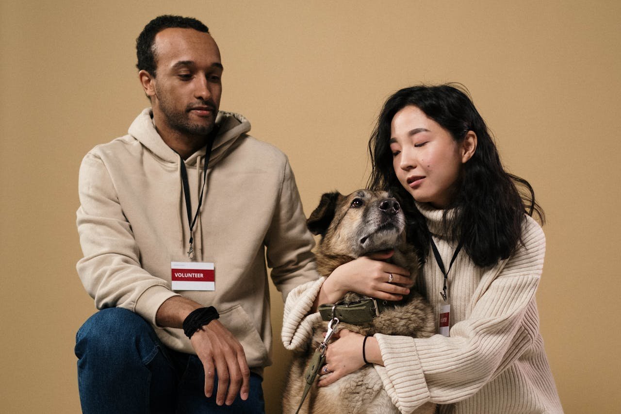 The Art of Drawing Readers In: Your attractive post title goes here A caring couple of volunteers with a rescue dog in a studio setting.
